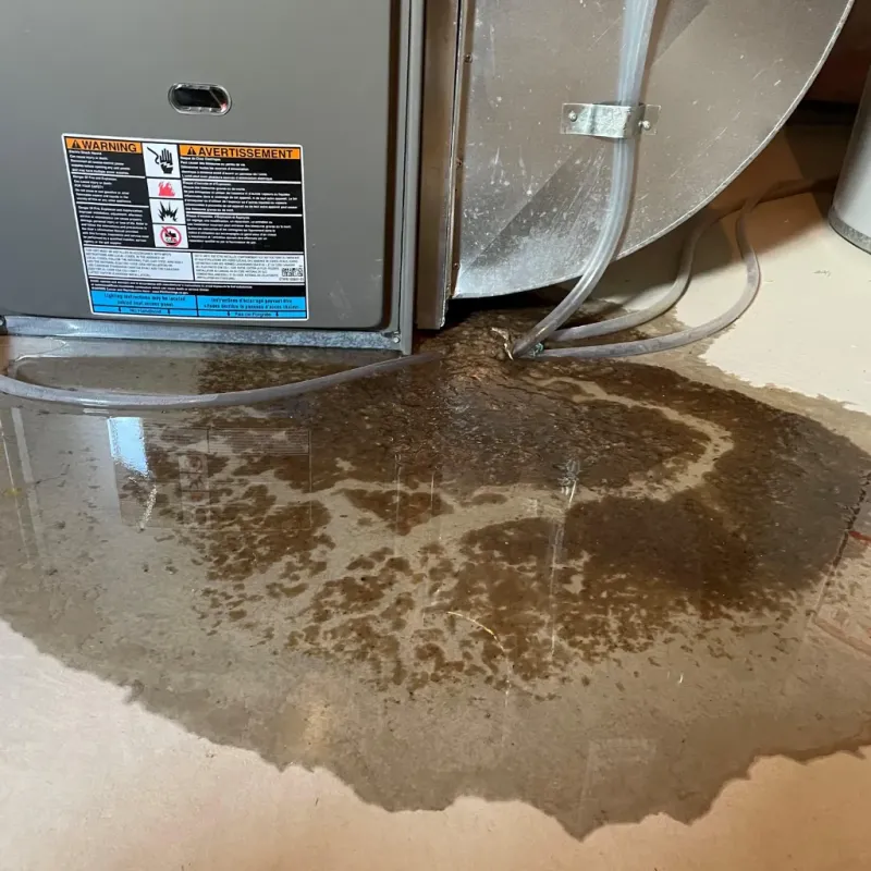 Appliance Leak Cleanup in Plymouth County, MA